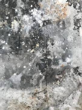 中国画教师姜东昭,作品名称:《雪莲花》 ,画种:中国画